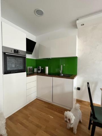 Schoenbrunn Luxury Apartment Viena Exterior foto